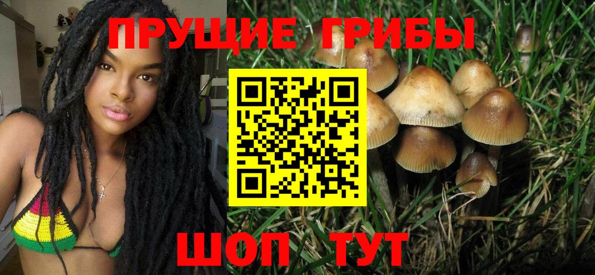 Псилоцибиновые грибы Psilocybe  Вход с VPN  Галлюциногенные грибы Cubensis  Кызыл 